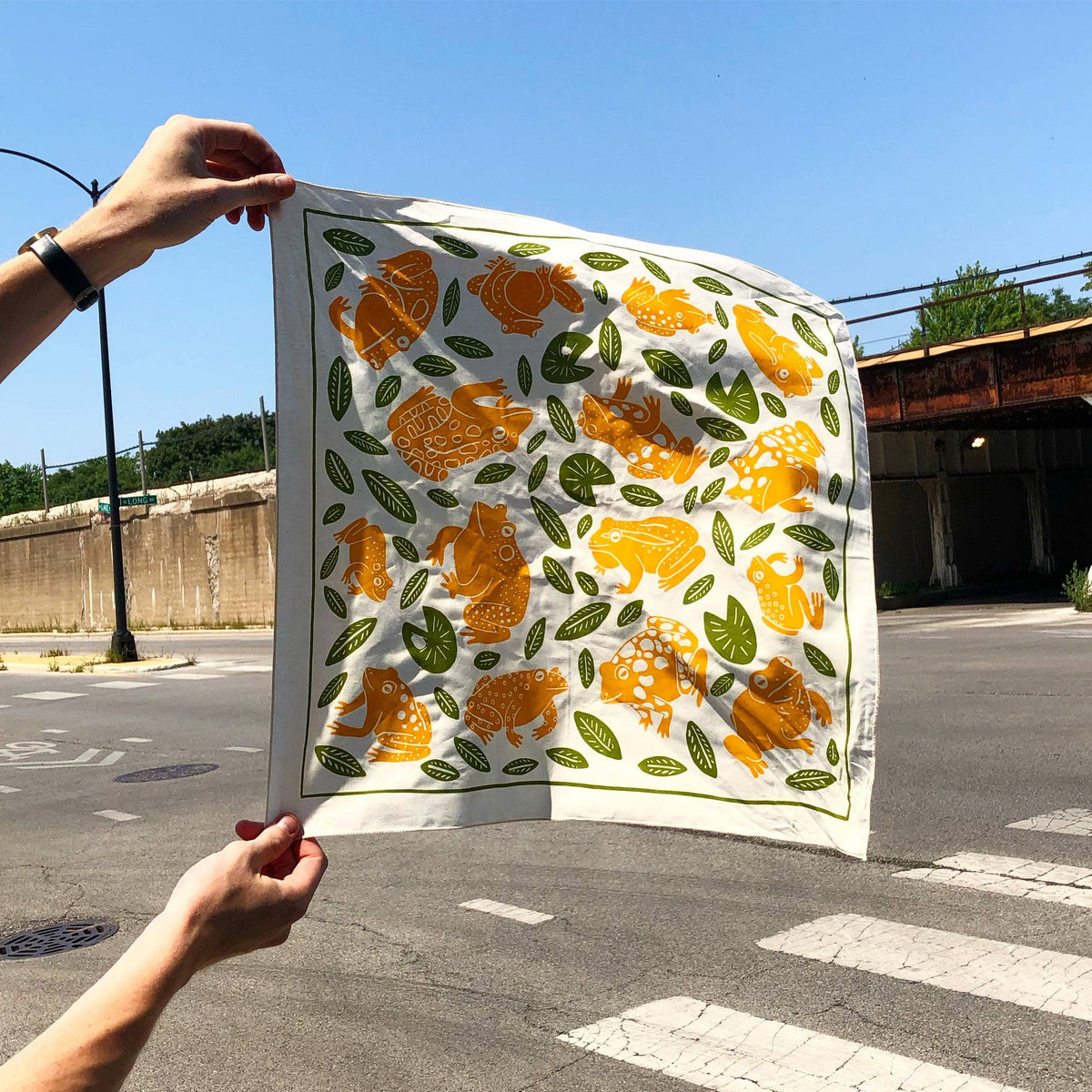Frog Bandana