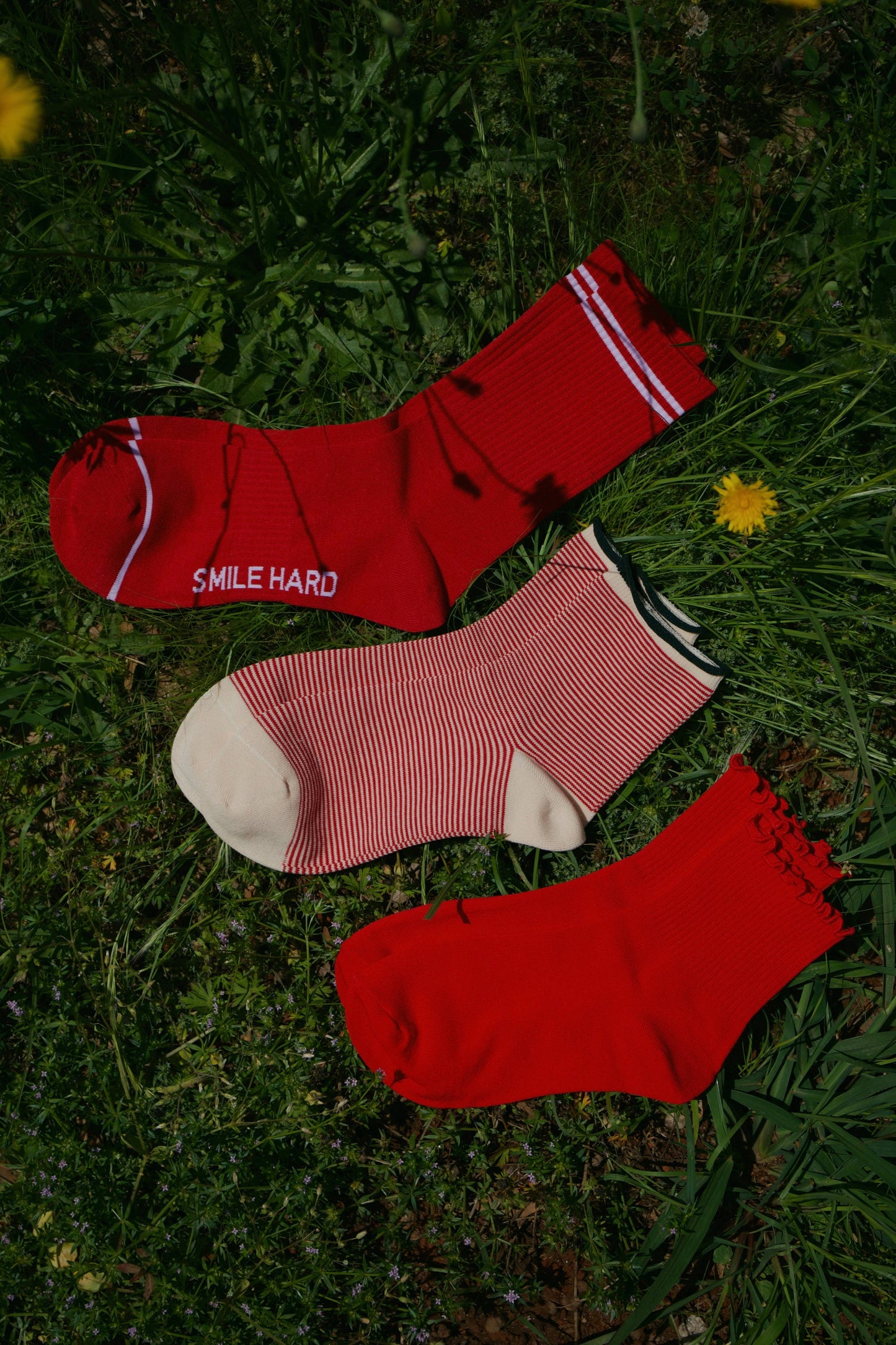 Beaten Path Co STRAWBERRY SOCK PACK - 3 pairs
