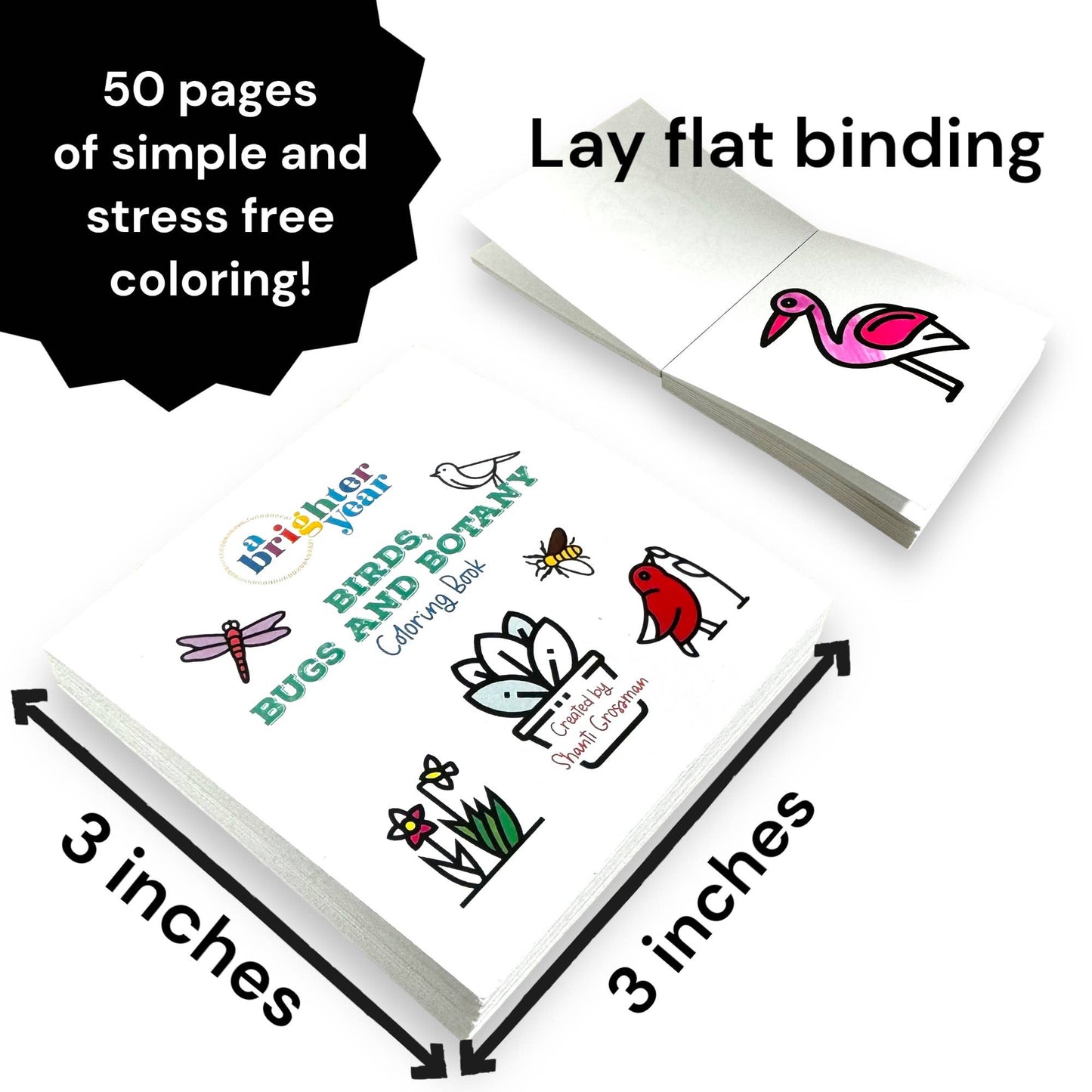 Birds Bugs and Botany Mini Coloring Book for Adults