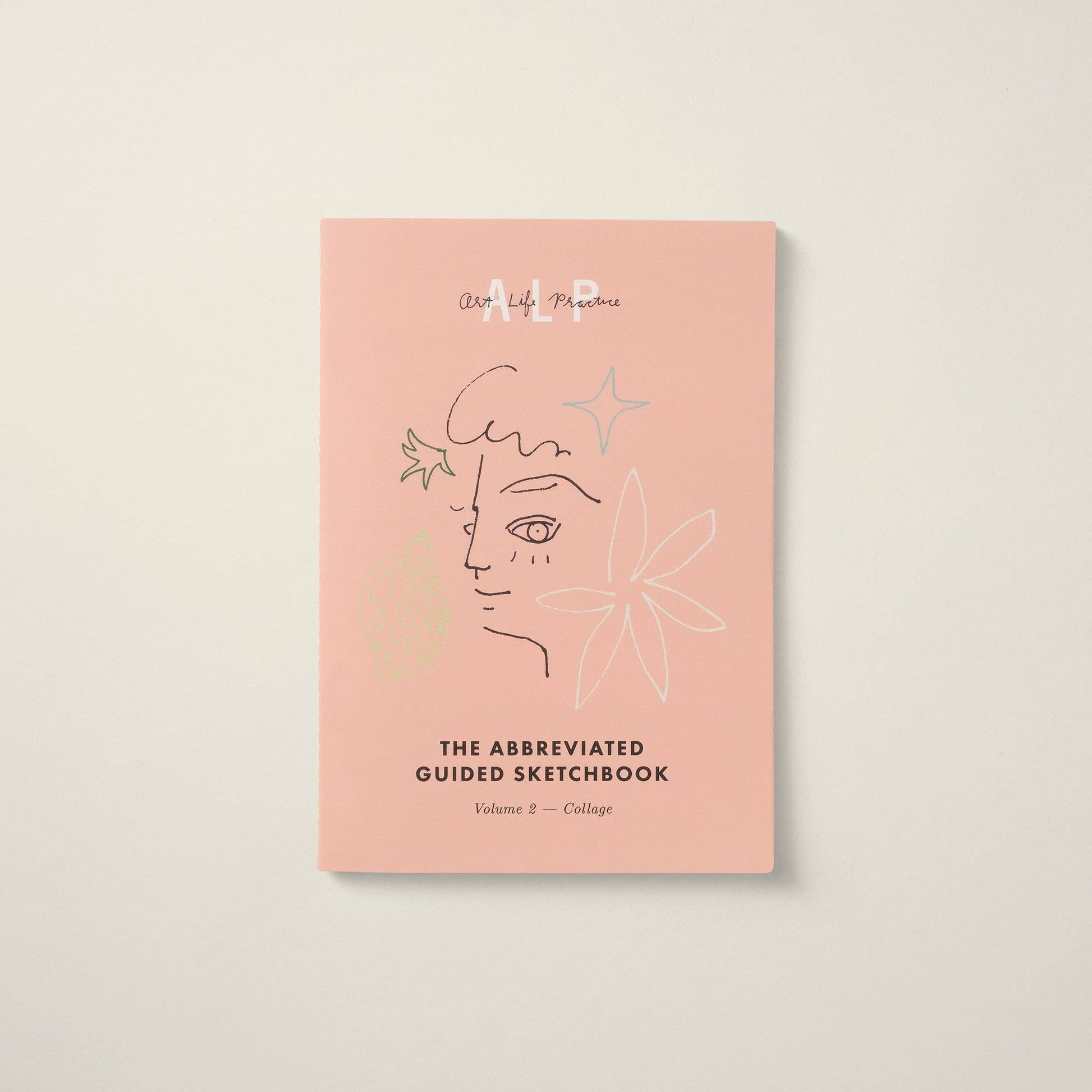 Art Life Practice The Abbreviated Guided Sketchbook