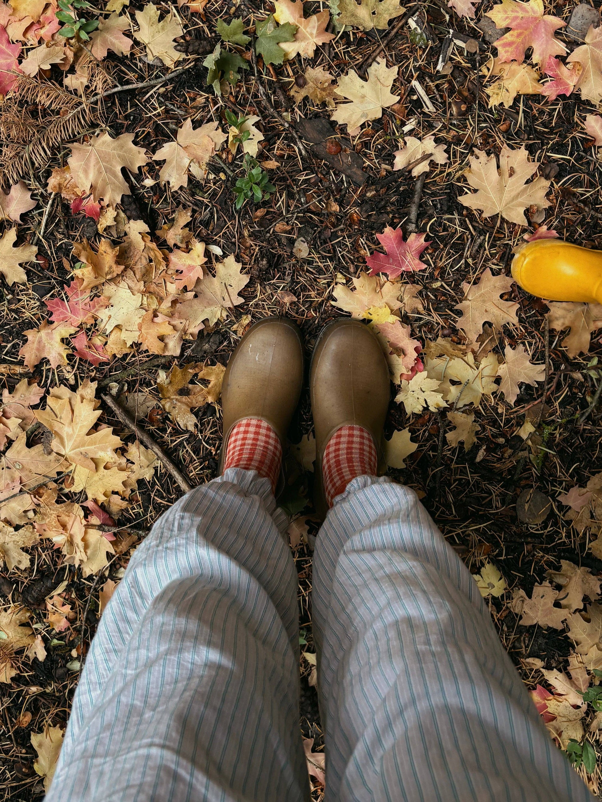 Beaten Path Co PEACH GINGHAM SOCKS