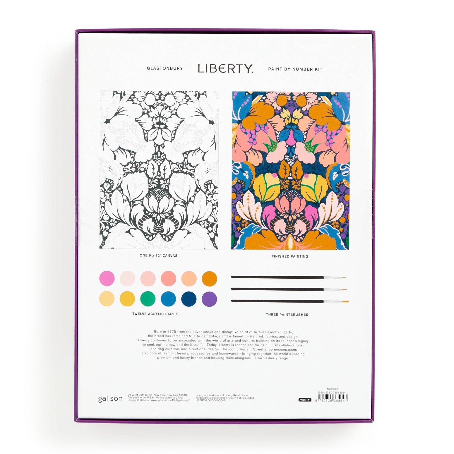 Chronicle Books Liberty Glastonbury 9 x 12 Paint-by-Number Kit