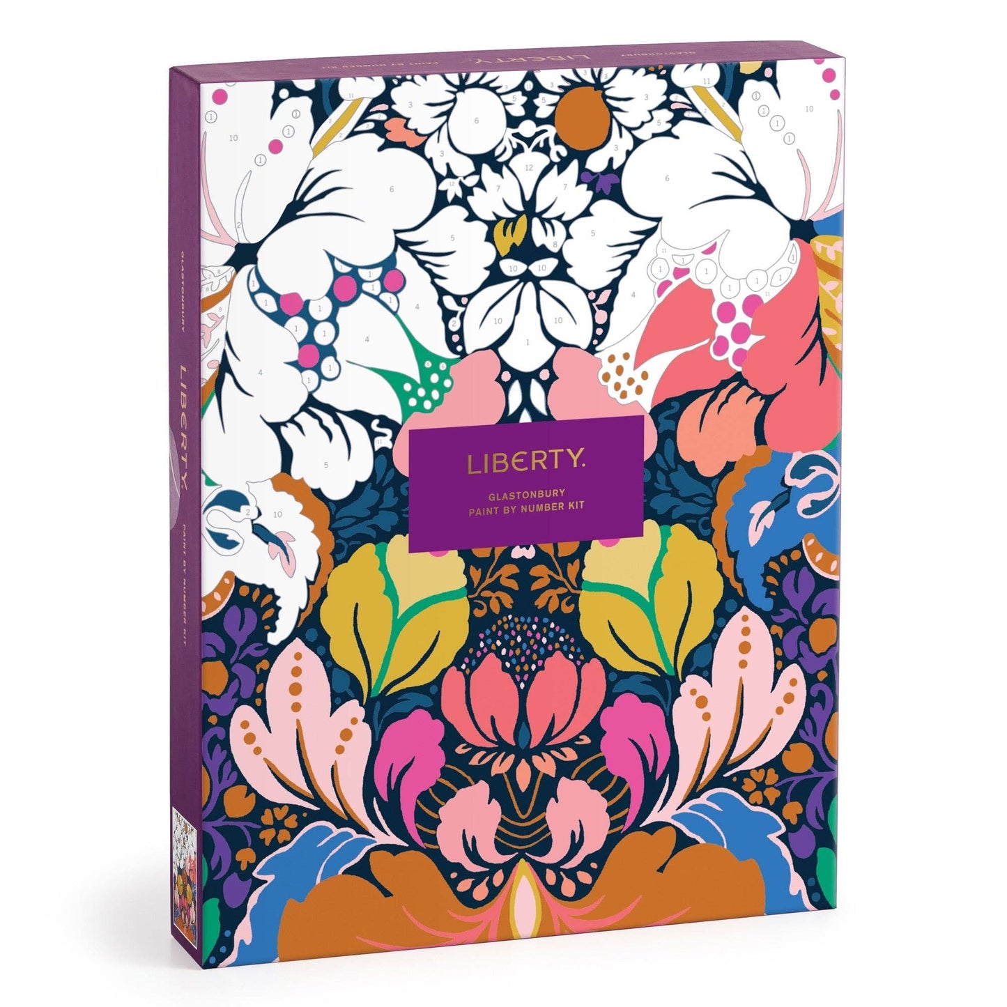Chronicle Books Liberty Glastonbury 9 x 12 Paint-by-Number Kit