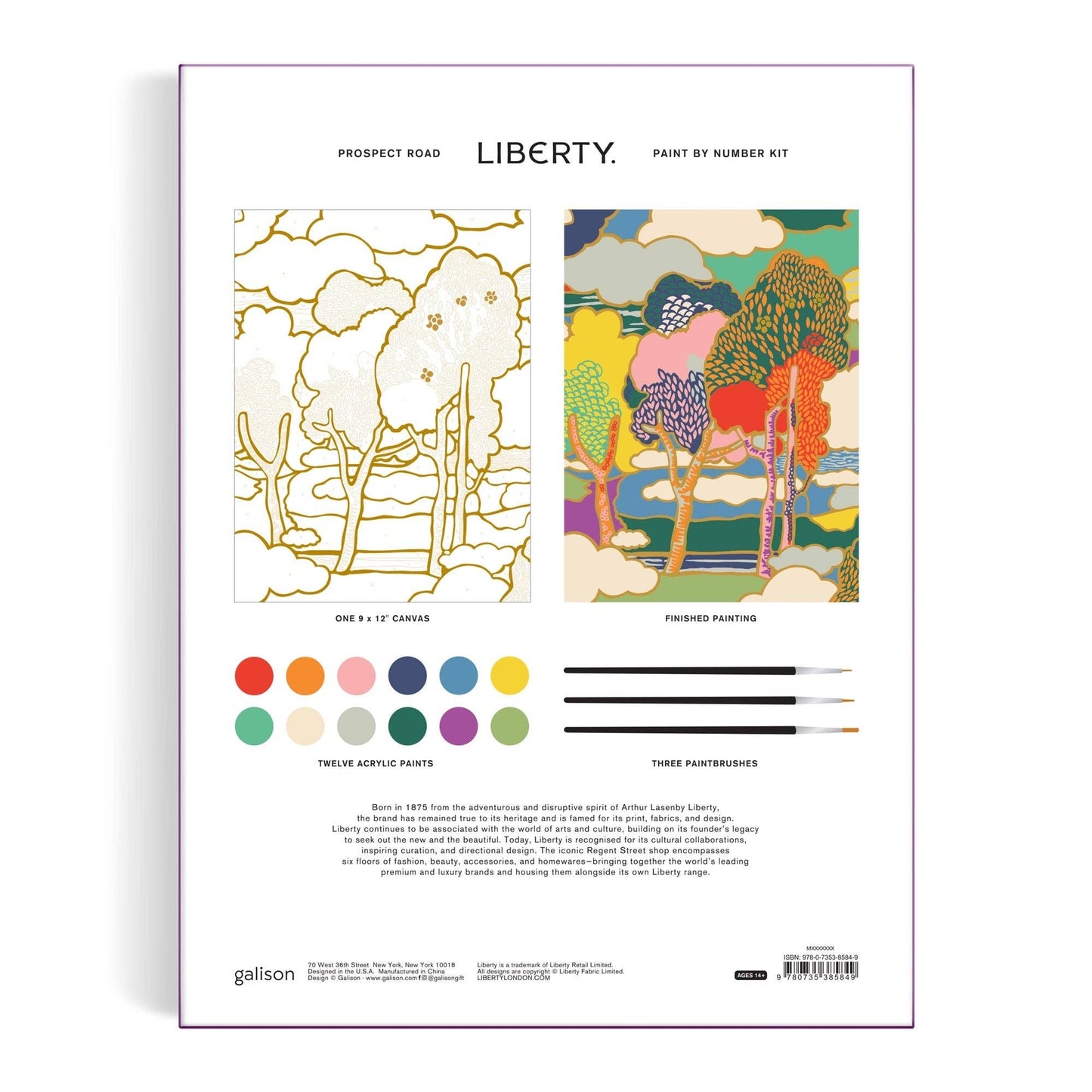 Chronicle Books Liberty Prospect Road 9 x 12 Paint-by-Number Kit