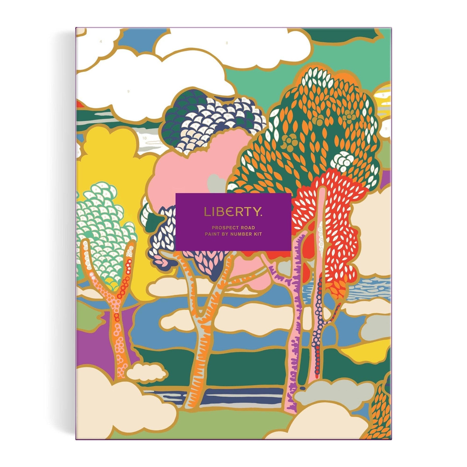 Chronicle Books Liberty Prospect Road 9 x 12 Paint-by-Number Kit