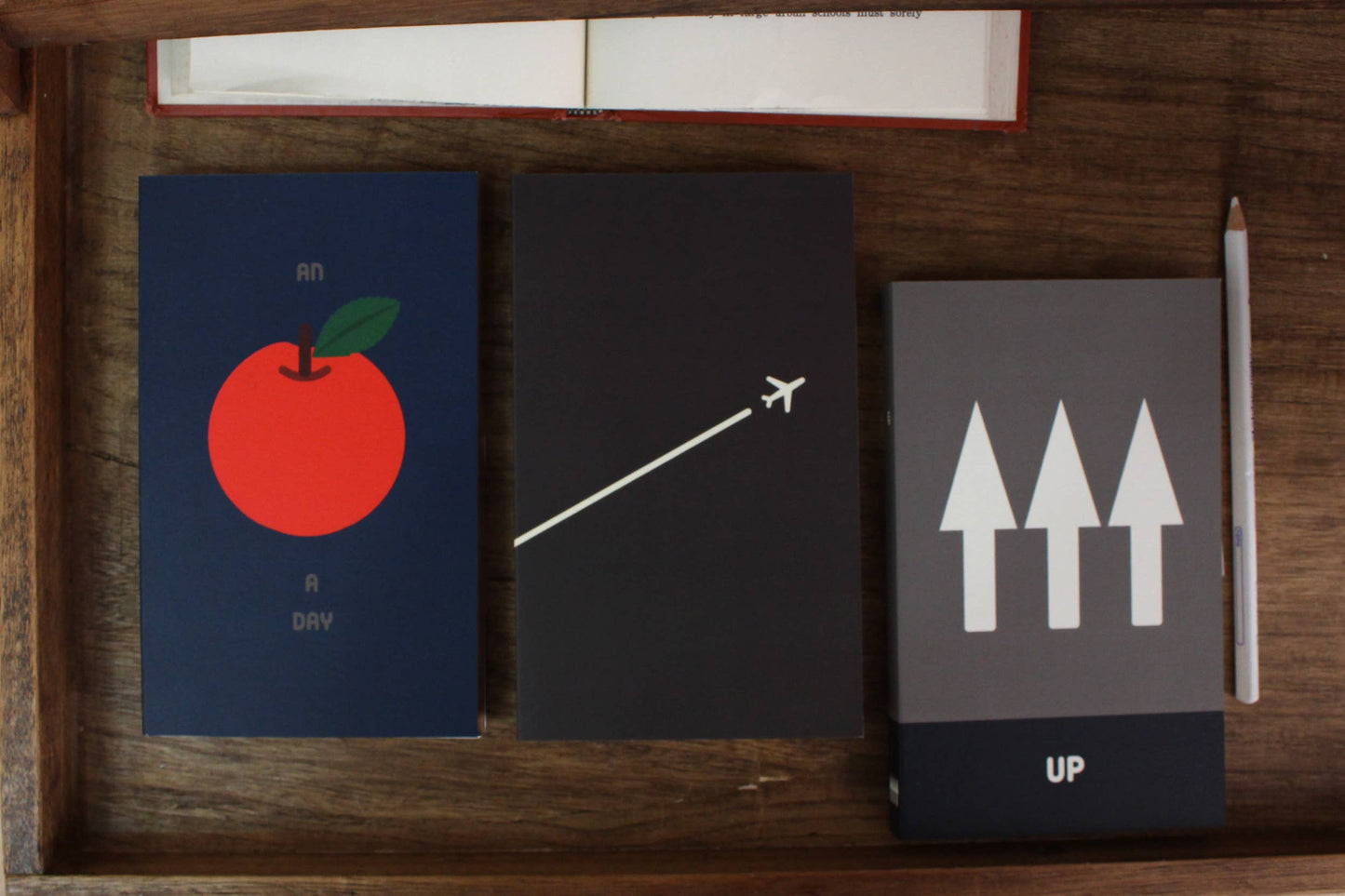 Paperways Paperways - Idea Notebook - Apple